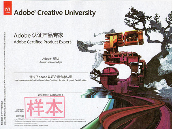 Adobe 认证产品专家认证